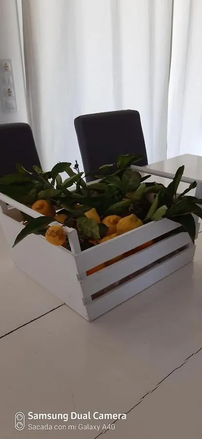 Ca Na Xisca Villa Felanitx