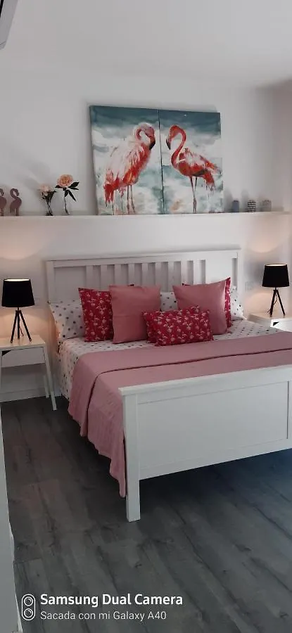 Ca Na Xisca Villa Felanitx