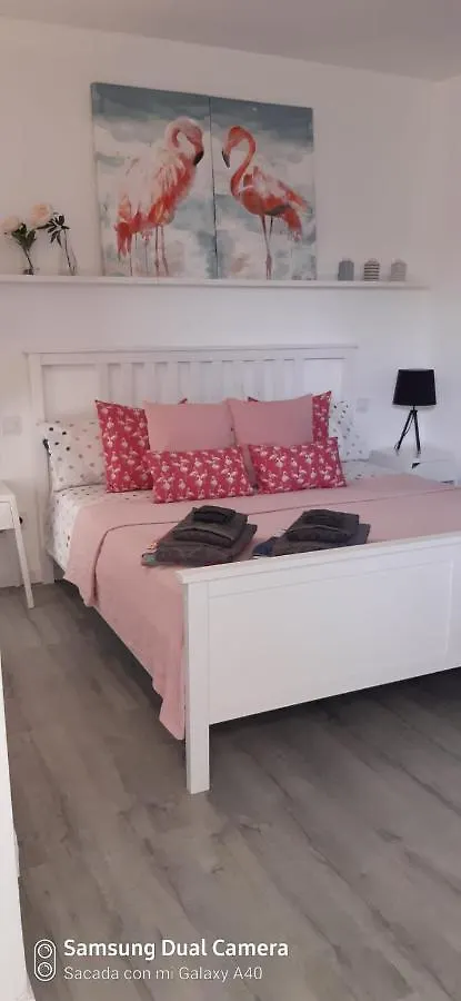Casa vacanze Villa Ca Na Xisca Felanitx