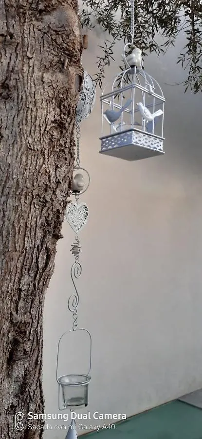 Villa Ca Na Xisca Felanitx Casa vacanze
